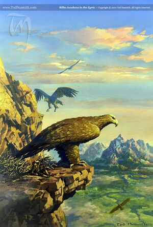 Ted Nasmith – Bilbo Awakens in the Eyrie.jpg