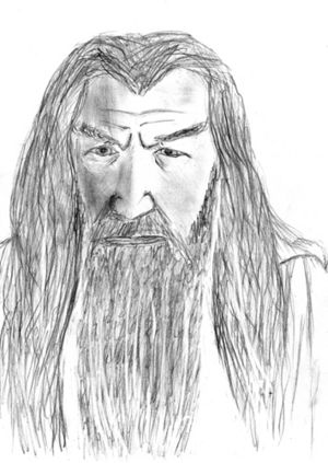 Gandalf klein.jpg