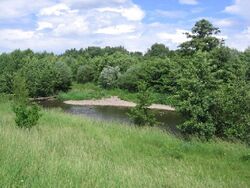 Rur-Naturschutzgebiet Düren-Birkesdorf (Foto: Gregor Roffalski)