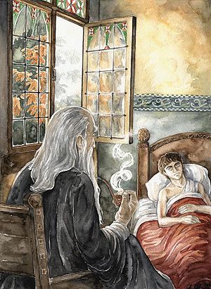 Frodo in Rivendell.jpg