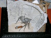 Bild 2: Rohbau und Phiole