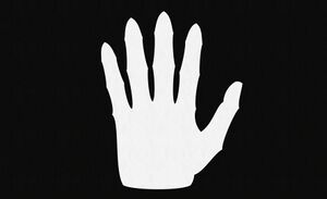 Weisse Hand.jpg