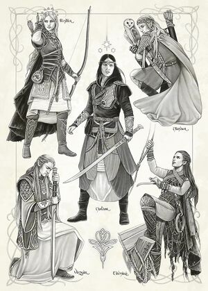 Elves of Arda.jpg