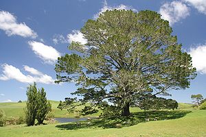 Party Tree (Movie).jpg