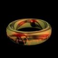 Der Eine Ring